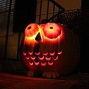 Patty Bell's photo