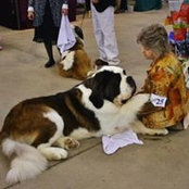 Marilyn Balikowski's photo