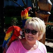 Carol Gils foto