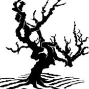Richard Carson's photo