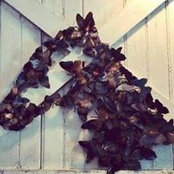 Marion Fuscaldo's photo
