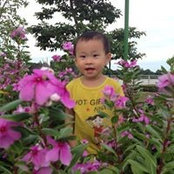 Hoang Son's photo