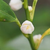 Busy Bee's photo