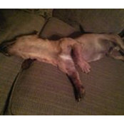 Chris Ryals's photo