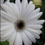 Photo de Karen Heimbaugh