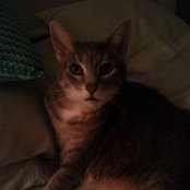 Denice Hetrick's photo