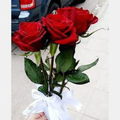 Foto von مرح قماج