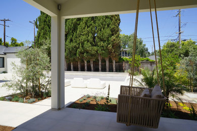 This is an example of a contemporary full sun backyard flower bed in San Francisco.