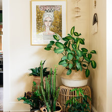 Plants