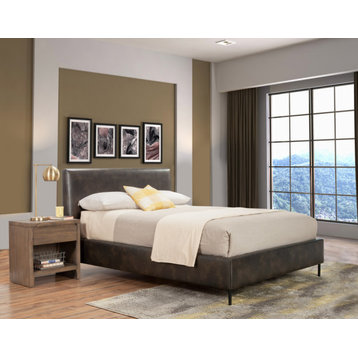 Sophia Queen Faux Leather Platform Bed, Gray