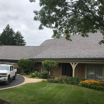 DaVinci Bellaforte Shake - Northbrook IL