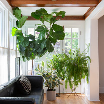 Wallingford Whole House Remodel