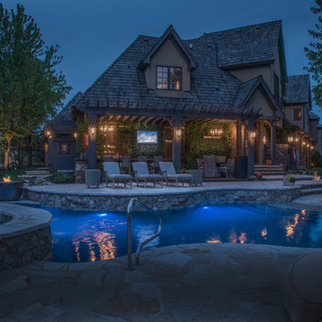 Naperville, IL Freeform Pool with Hot Tub and Beach Entry