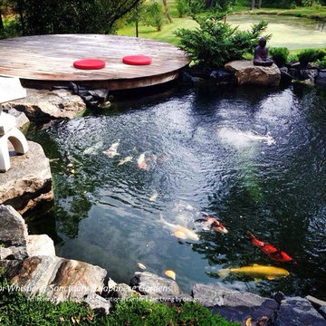 Japanese Koi Pond Design