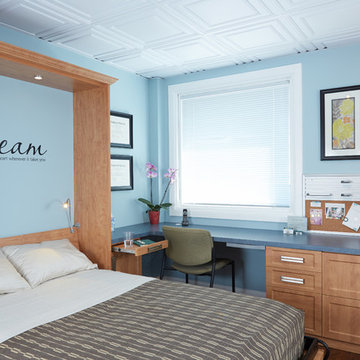 Contemporary Murphy Bed