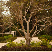 Glen Hill Landscape
