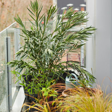 Grand balcon naturel