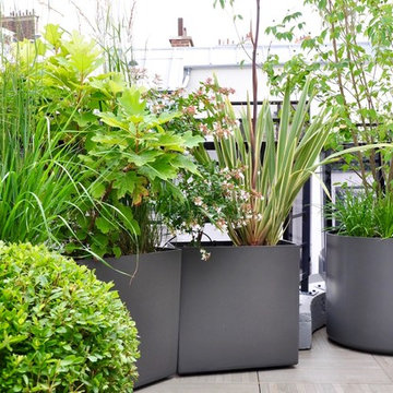 TERRASSE BEE