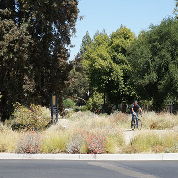 Entrance to the Mary Wattis Brown Garden of California Native Plants at the UC D