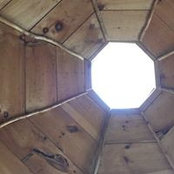 Fiona Morehouse's photo