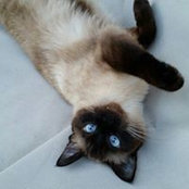 Beth Brewer's photo