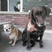 Kelly Sumner Iott's photo