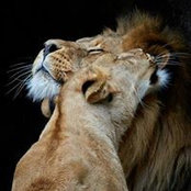 Beata Struga's photo