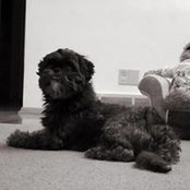 Molly Sobiesczyk's photo