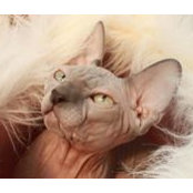 Margareta Surowiak's photo