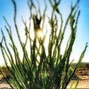 Foto von Jeff (Phoenix, AZ)