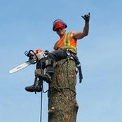 Matthew Bainborough's photo