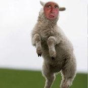 Bryan Lepley's photo