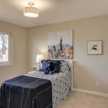 Modern Transitional