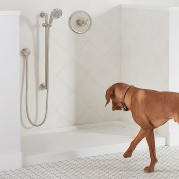 DXV Oak Hill Personal Shower Set With Handshower