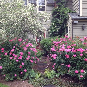 New Canaan Gardens