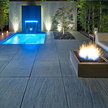 Sleek Contemporary Backyard