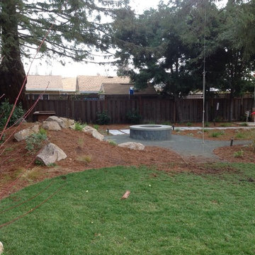 Willow Glen Modern- firepit and rope swing