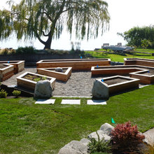 Raised Vegetable Gardens