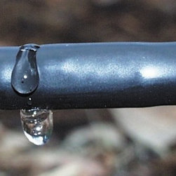 Rainbird Sprinkler Systems - Sprinklers