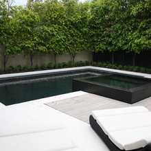 Euc Pool
