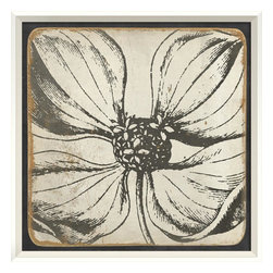 The Artwork Factory - Vintage Flower II Framed Artwork - Prints And Posters