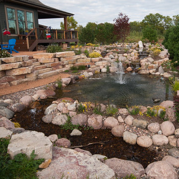 Back Yard Oasis