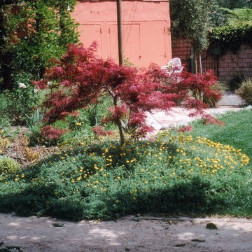 Courtyard Garden