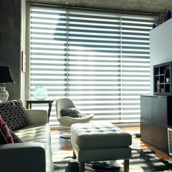 Zebra Shades - Roller Shades