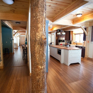 Tree trunk stands sentry