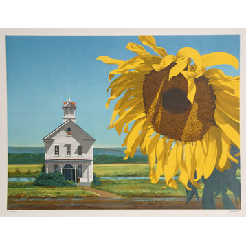 Sunflower- Harry Devlin