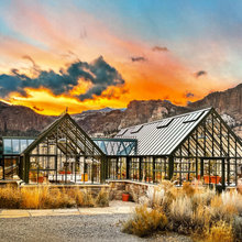 Blue Ranch Farms
