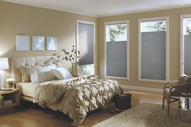 Transitional bedroom photo in Chicago