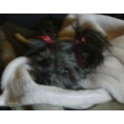 candice_lommels foto
