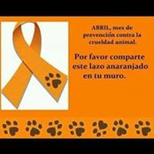 Mabel Jaramillo's photo